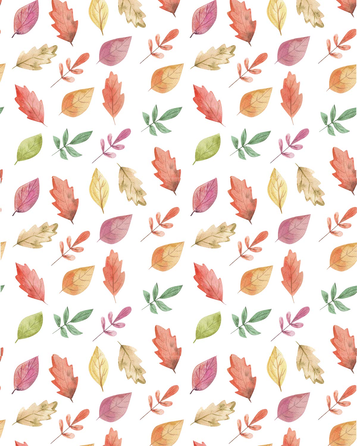 Fall 081 Transfer Sheet