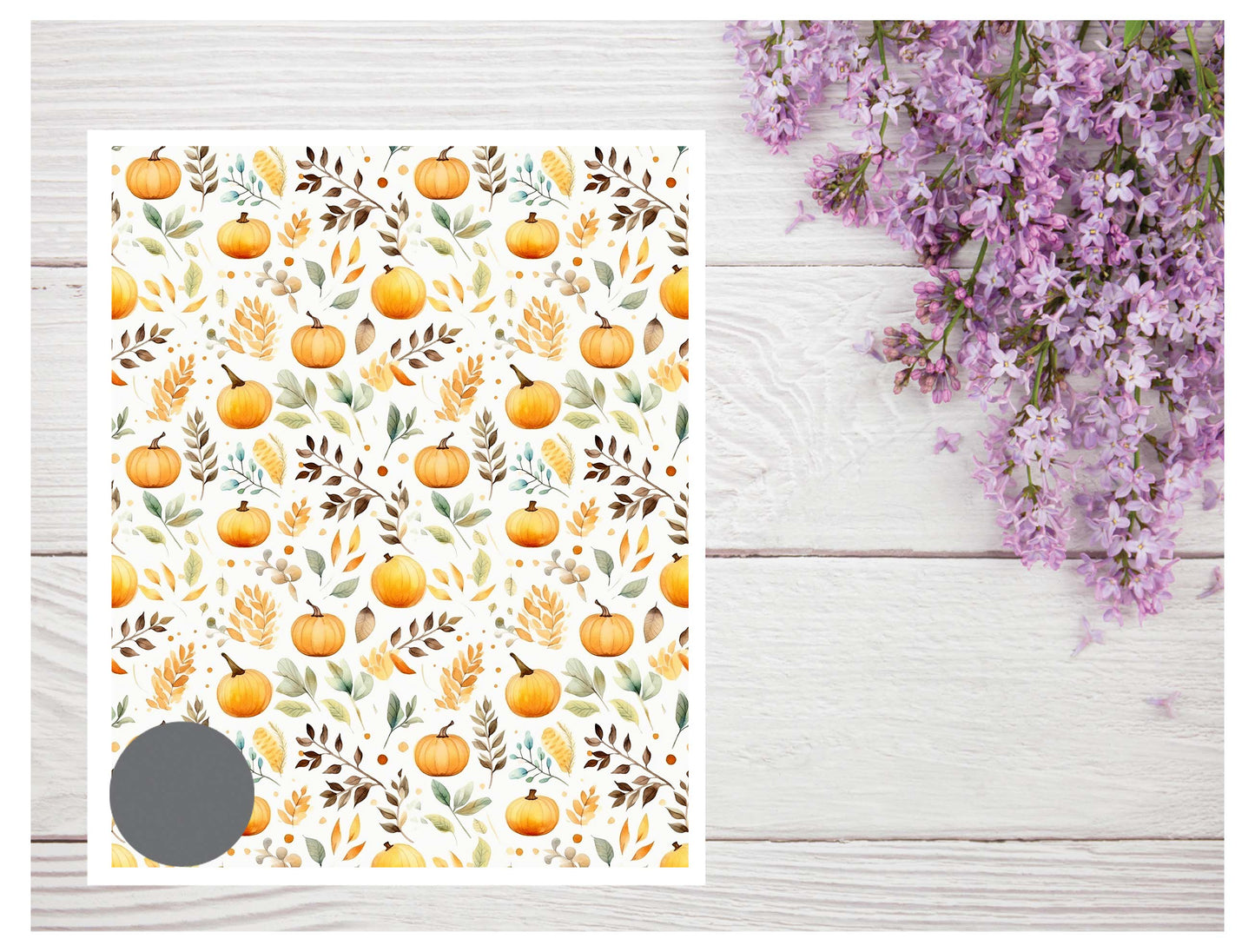 Fall 034 Transfer Sheet