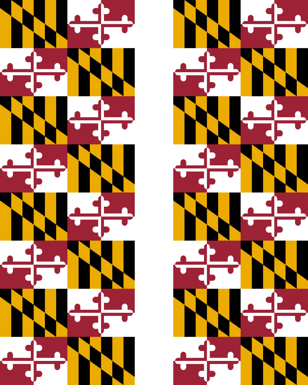 Maryland Custom Transfer for Heather