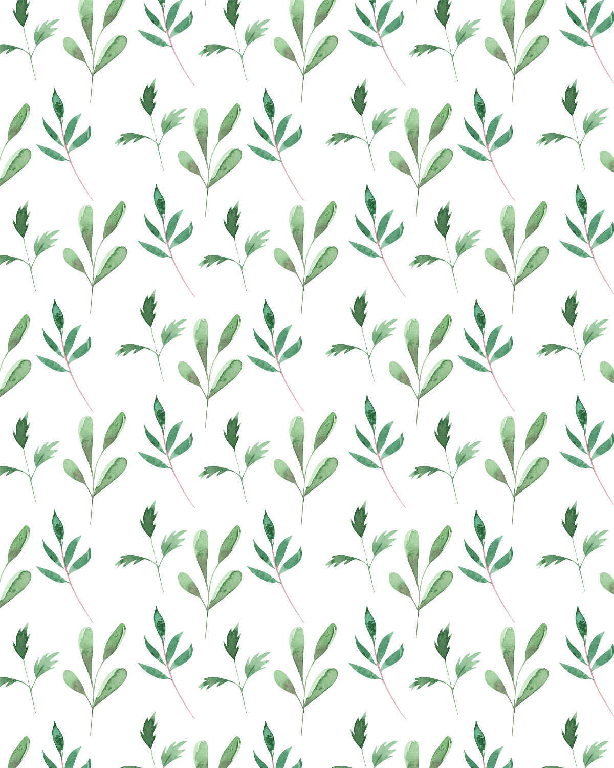 Watercolor Flowers 211 Transfer Paper
