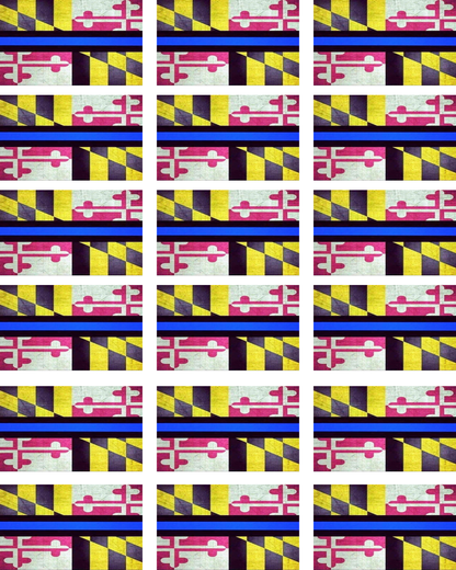 Maryland Custom Transfer for Heather