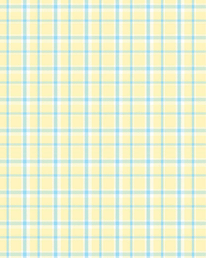 Plaid 02 Transfer Paper